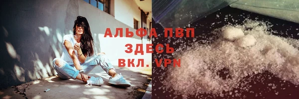 стафф Алексин