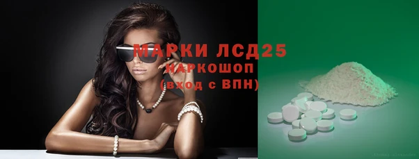PSILOCYBIN Алзамай