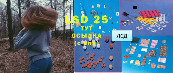 стафф Алексин