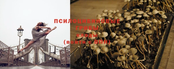 не бодяженный Ельня