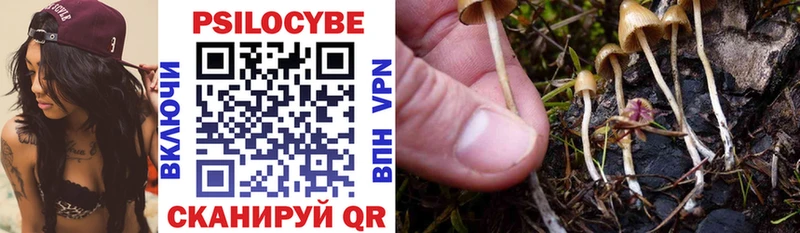 Псилоцибиновые грибы Psilocybine cubensis  Бабушкин 
